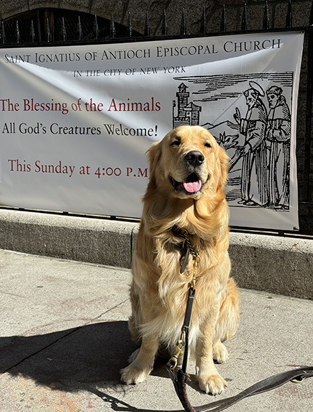Blessing of the Animals